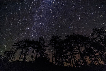 Stars, Night, Dark, Starry Sky, Constellations, Constellation HD wallpaper