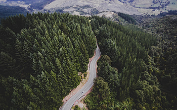 Green trees, aerial view, nature, highway HD wallpaper