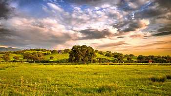 Serenity, tranquility, clean, green, peaceful, grass HD wallpaper