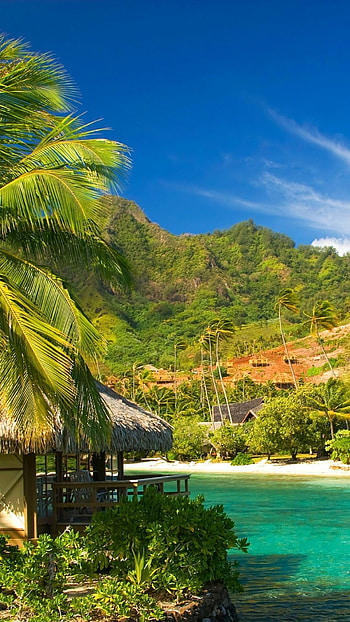 Tropical graphy, Beautiful landscapes, Stunning views, Tropical paradise HD phone wallpaper