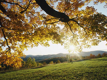 Autumn Nature , landscape, nature HD wallpaper
