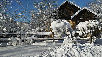 Wintry, winter, nature, snow, house HD wallpaper