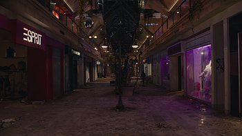 BellaRamsey, The Last Of Us HD wallpaper