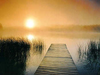 Morning on river, nature, rivers HD wallpaper