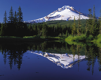 Mt. Hood, hood, volcano, mount, trillium, mt, lake, mountain HD wallpaper