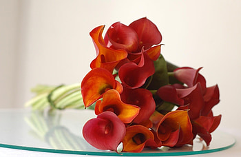 Flowers, Lie, To Lie Down, Bouquet, Glass, Calla, Callas HD wallpaper