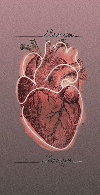 Kalp, seni_seviyorum, heart HD phone wallpaper
