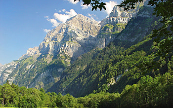 Nature, Trees, Grass, Mountains, Greens HD wallpaper