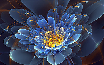 Abstract, Flower, Petals, Fractal HD wallpaper
