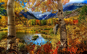 Landscape, Rivers, Trees, Mountains, Autumn, Birches HD wallpaper