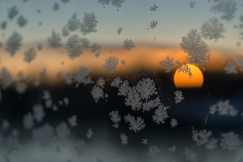 Snow Flakes Sun Blurred Frost Winter , snowflakes, tree, nature, snow HD wallpaper