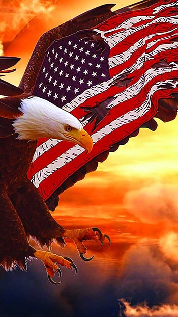 American Flag, Sea Eagle, Background HD phone wallpaper