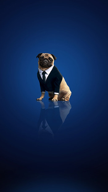 2019 full movie poster, 2022 movie poster, Men in Black International HD phone wallpaper