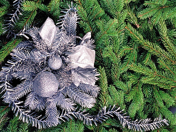 Holidays, Background, Needle, New Year, Fir-Trees, Christmas, Xmas HD wallpaper