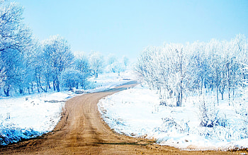 Snow Road Way, snow, road, way, nature HD wallpaper