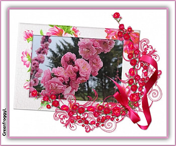 FRAMED FLOWERS, FLOWERS, NATURE, FRAMED HD wallpaper