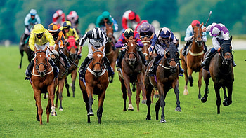 Equitation sports, Horse racing, backgrounds HD wallpaper