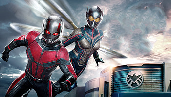 Ant-Man and the Wasp HD wallpaper
