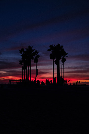 People, Sunset, Sky, Palms, Dark, Silhouettes, Tropics HD phone wallpaper