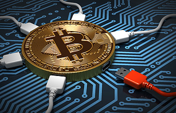 Bitcoin , bitcoin, currency, others HD wallpaper