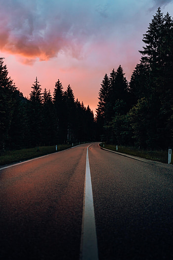 Nature, Trees, Sunset, Road, Markup, Dahl, Distance HD phone wallpaper