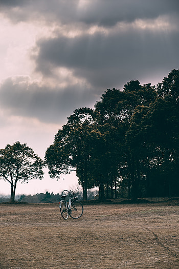 Nature, Trees, Grass, Clouds, Mainly Cloudy, Overcast, Polyana, Glade, Bicycle HD phone wallpaper