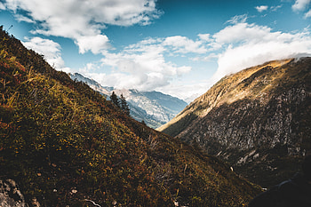 Nature, Trees, Mountains, Slope, Valley HD wallpaper