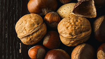 Walnuts, , High-definition ry, showcase HD wallpaper