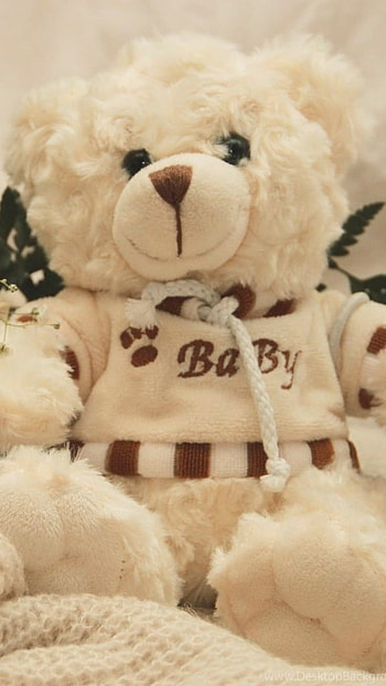 Teddy Wale, Furry, Teddy Bear HD phone wallpaper