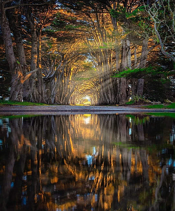 San Francisco, sunlight, natural_landscape HD phone wallpaper