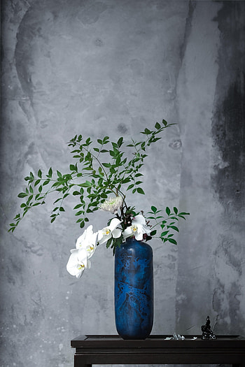 Flowers, Bouquet, Room, Vase, Orchid HD phone wallpaper