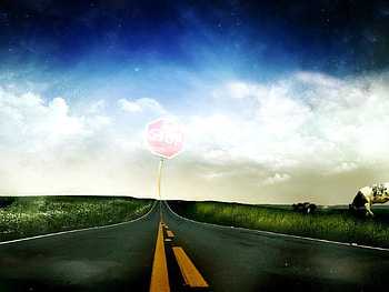 Nature, Sky, Road, Markup, Lines, Field, Sign, Cow, Warning HD wallpaper