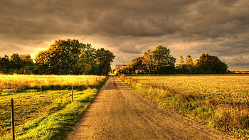 autumn, field, road, landscape HD wallpaper