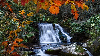 Yellow Creek Falls near Robbinsville, North Carolina, river, leaves, cascades, trees, autumn, colors, usa HD wallpaper
