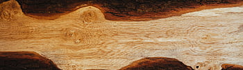 Close-up view of a tree trunk showcasing its natural wood grain texture with distinct knots. HD wallpaper