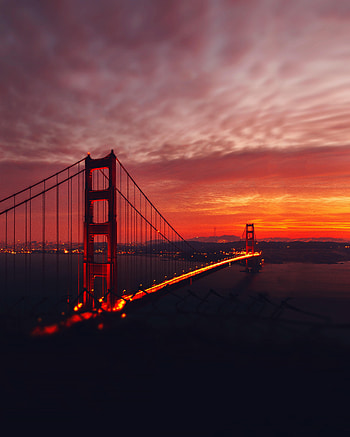 Cities, Architecture, Lights, Night City, Bridge HD phone wallpaper