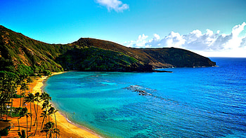 Coast Of Hawaii, coast, nature HD wallpaper