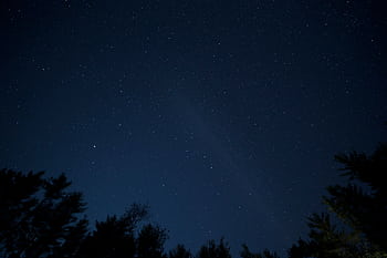 A breathtaking view of the night sky filled with stars above silhouetted trees. HD wallpaper