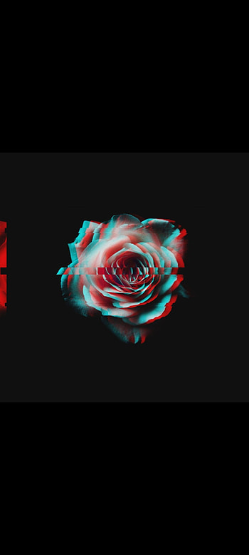 Glitched Rose, Popular, Black, Glitch HD phone wallpaper