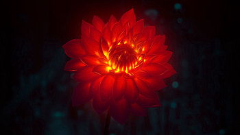 Art, Flower, Pion, Peony HD wallpaper