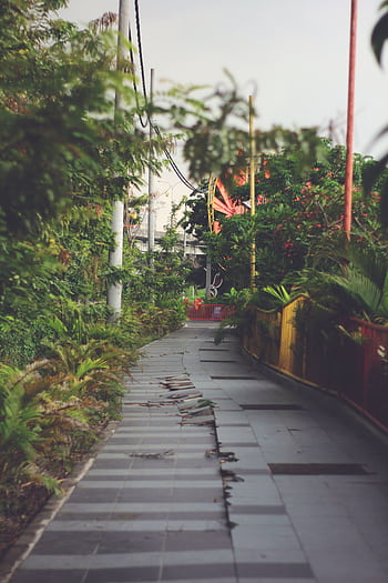Tranquil path amidst lush greenery, perfect for relaxation and nature walks. HD phone wallpaper