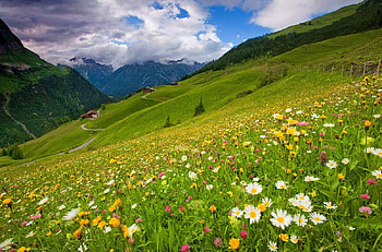 Mountain houses, peaks, houses, nice, wildflowers, slope, meadow, beautiful, grass, fresh, cabin, pretty, field, freshness, clouds, nature, sky, scent, mountainscape, flowers, cottage, lovely, village HD wallpaper