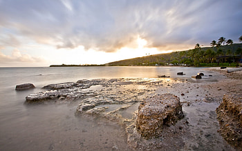 Nature, Sea, Palms, Shore, Bank, Reefs, Wind HD wallpaper