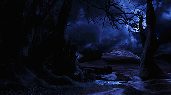 the night is calling, gothic, eerie, nature, dark HD wallpaper