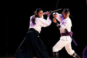 Sword fighting, Martial arts, Fencing poses, Action shots HD wallpaper