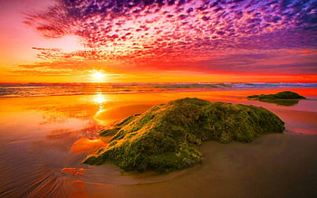 Amazing sunset, sand, sunlight, nice, beach, fiery, shore, reflection, amazing, sunset, sea, sundown, beautiful, rocks, stones, pretty, light, clouds, nature, sky, lovely HD wallpaper