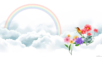 Colourful Rainbow, Bird, Cloud, Art, Flowers, Rainbow HD wallpaper