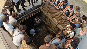 The Maze Runner (2022) movie HD wallpaper