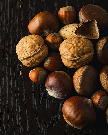 Food, Nuts, Walnut, Hazelnut HD phone wallpaper