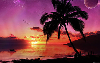 ~Destinys Path~, landscape, nature, beaches, sunset HD wallpaper